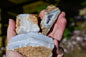 Blue lace agate bundle