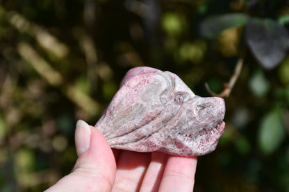 Red garnet or rhodonite dragon - Manus carve