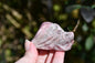 Red garnet or rhodonite dragon - Manus carve