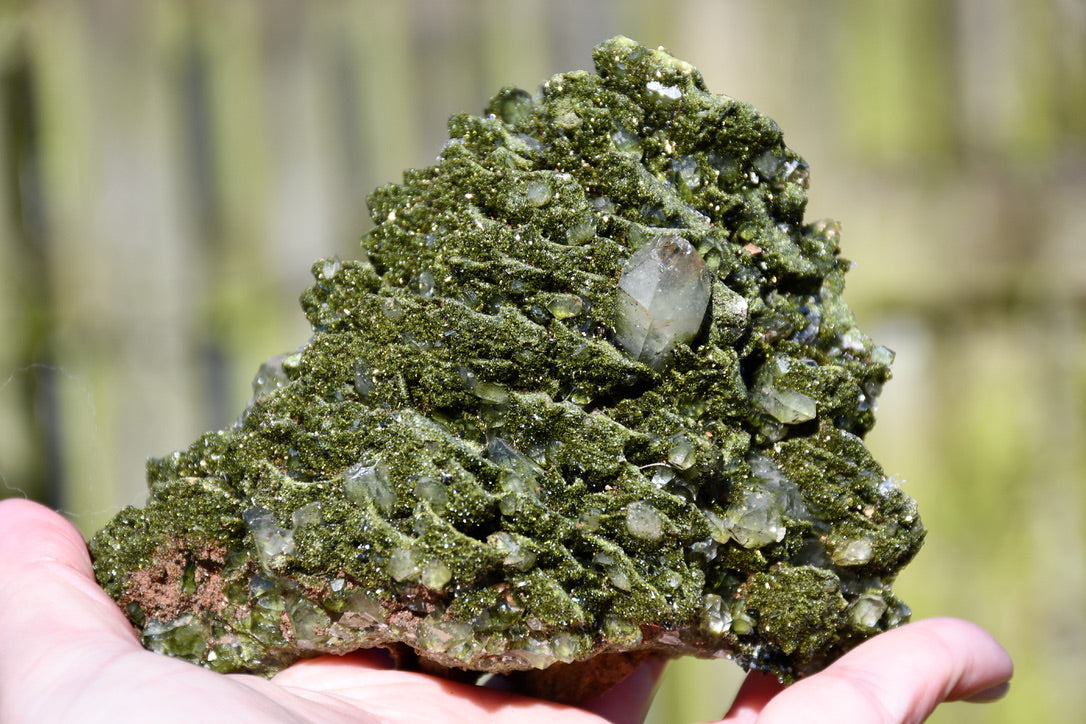 "fairy forest" epidote on quartz cluster