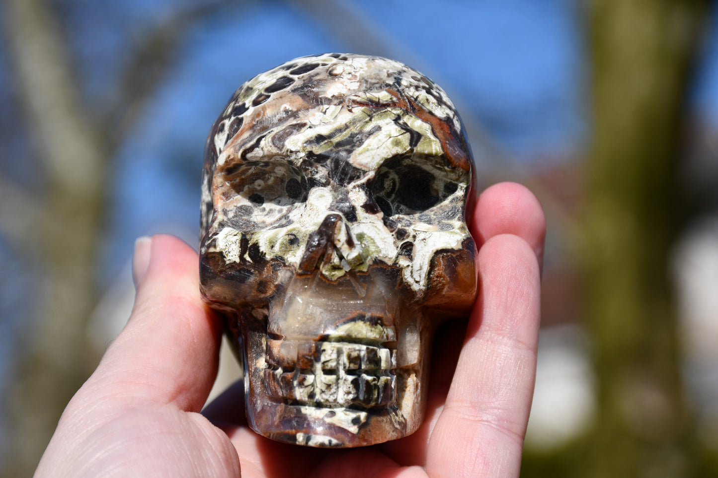 Rhyolite quartz skull