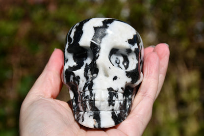 Zebra jasper skull carve
