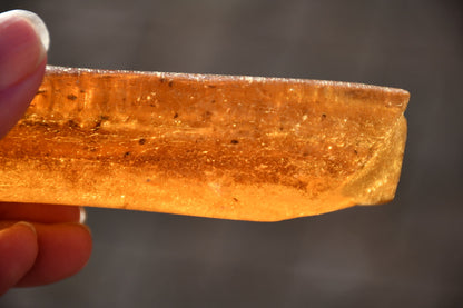 Copal or Amber with fossilised insects