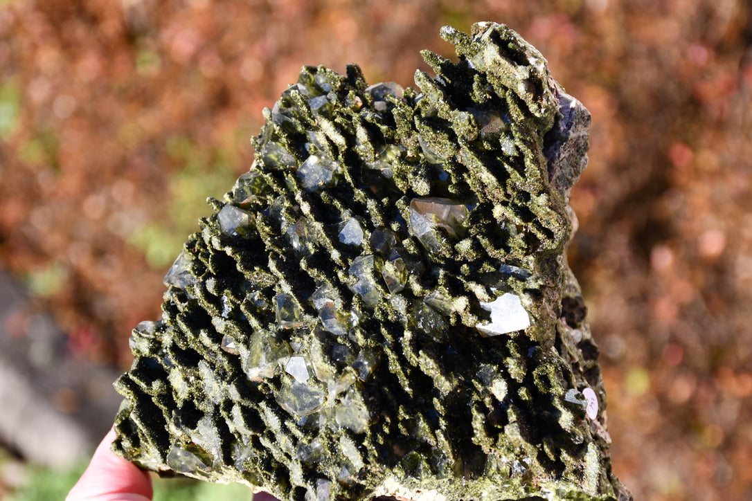 "Fairy forest" diopside and quartz cluster on matrix