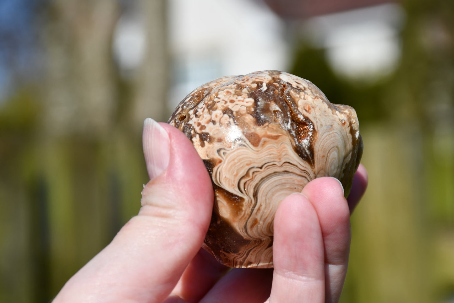 Aragonite with druzy star being