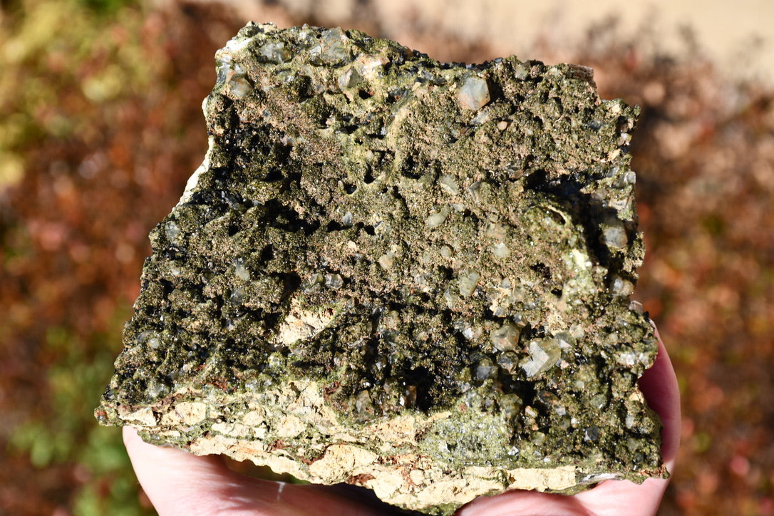"Fairy forest" diopside and quartz cluster on matrix