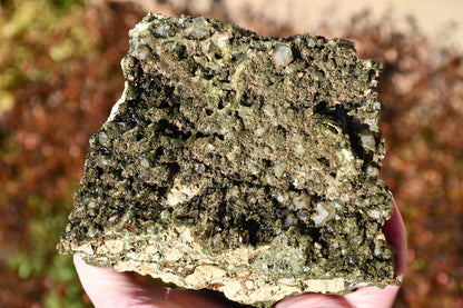 "Fairy forest" diopside and quartz cluster on matrix