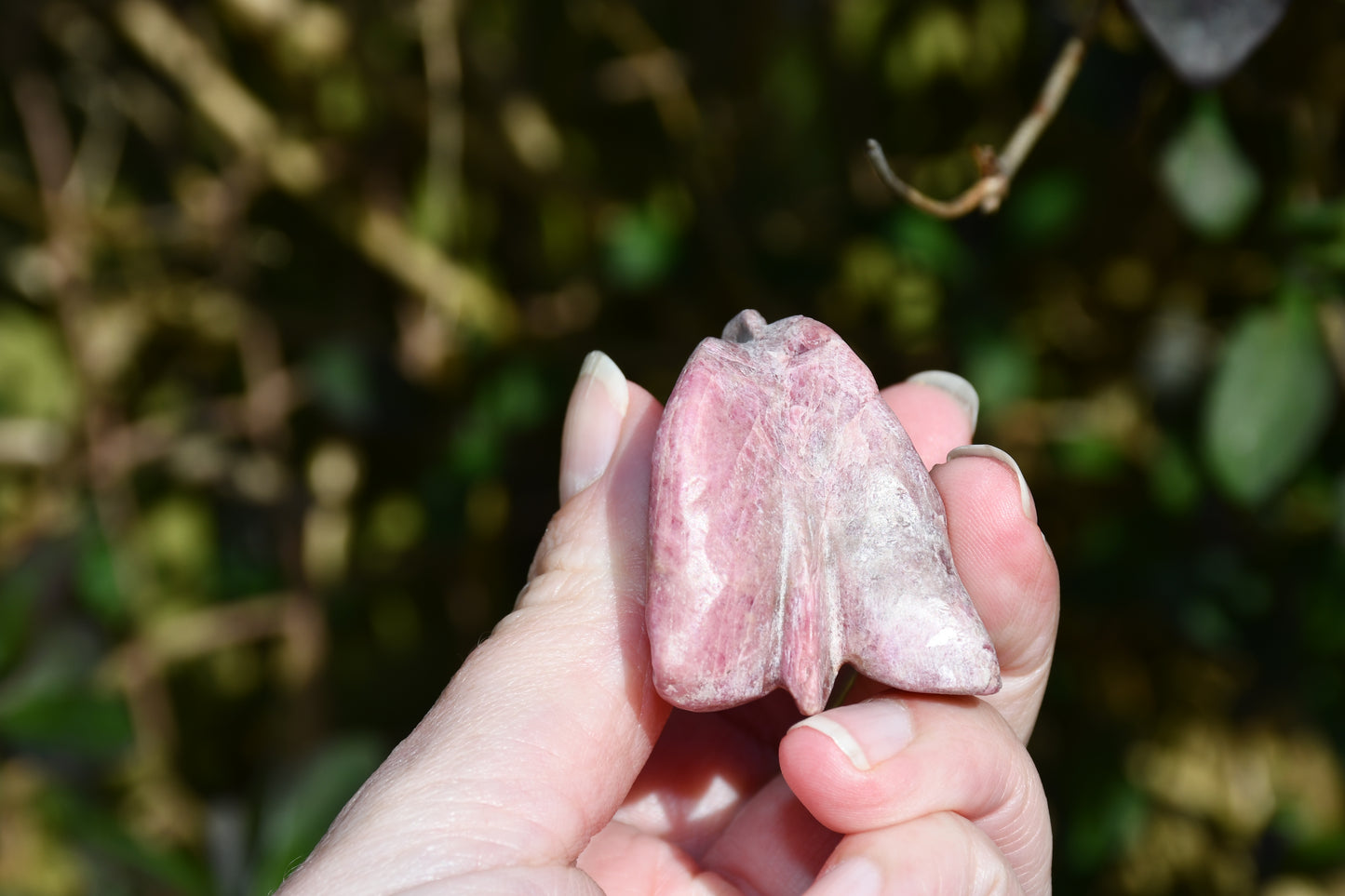 Red garnet or rhodonite dragon - Manus carve