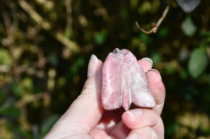 Red garnet or rhodonite dragon - Manus carve