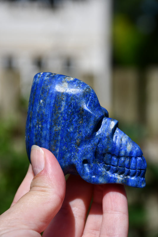 Lapis lauzuli Manus skull