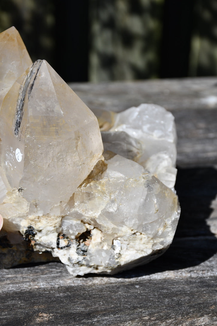 Himalayan quartz cluster with black tourmaline and mica
