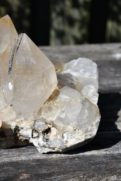 Himalayan quartz cluster with black tourmaline and mica