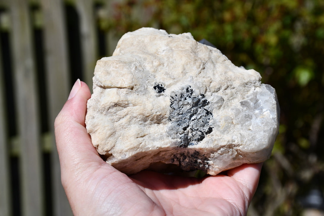 Himalayan smoky quartz and black tourmaline cluster
