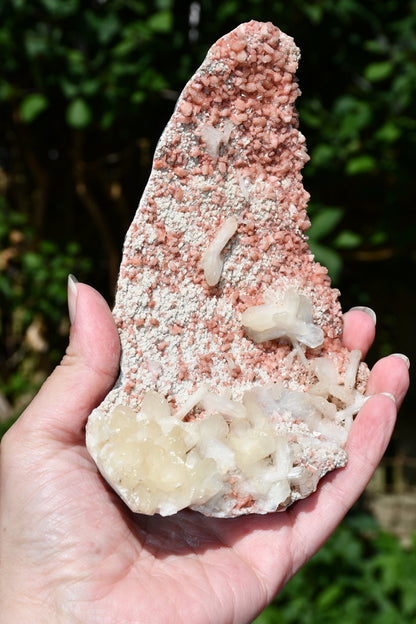 Mixed zeolites on matrix