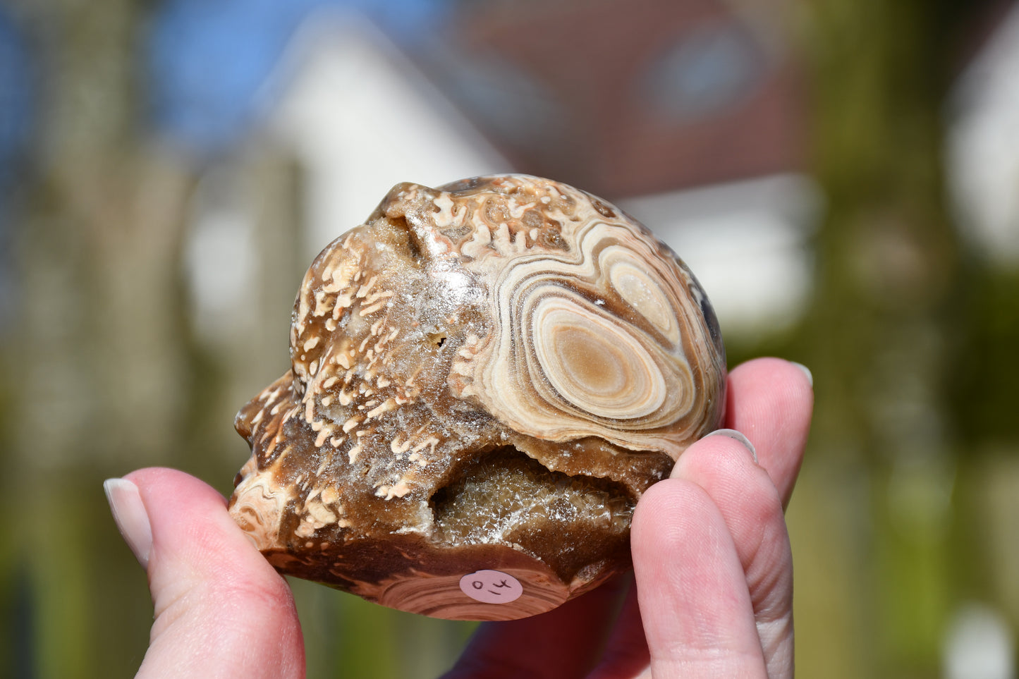 Aragonite with druzy star being