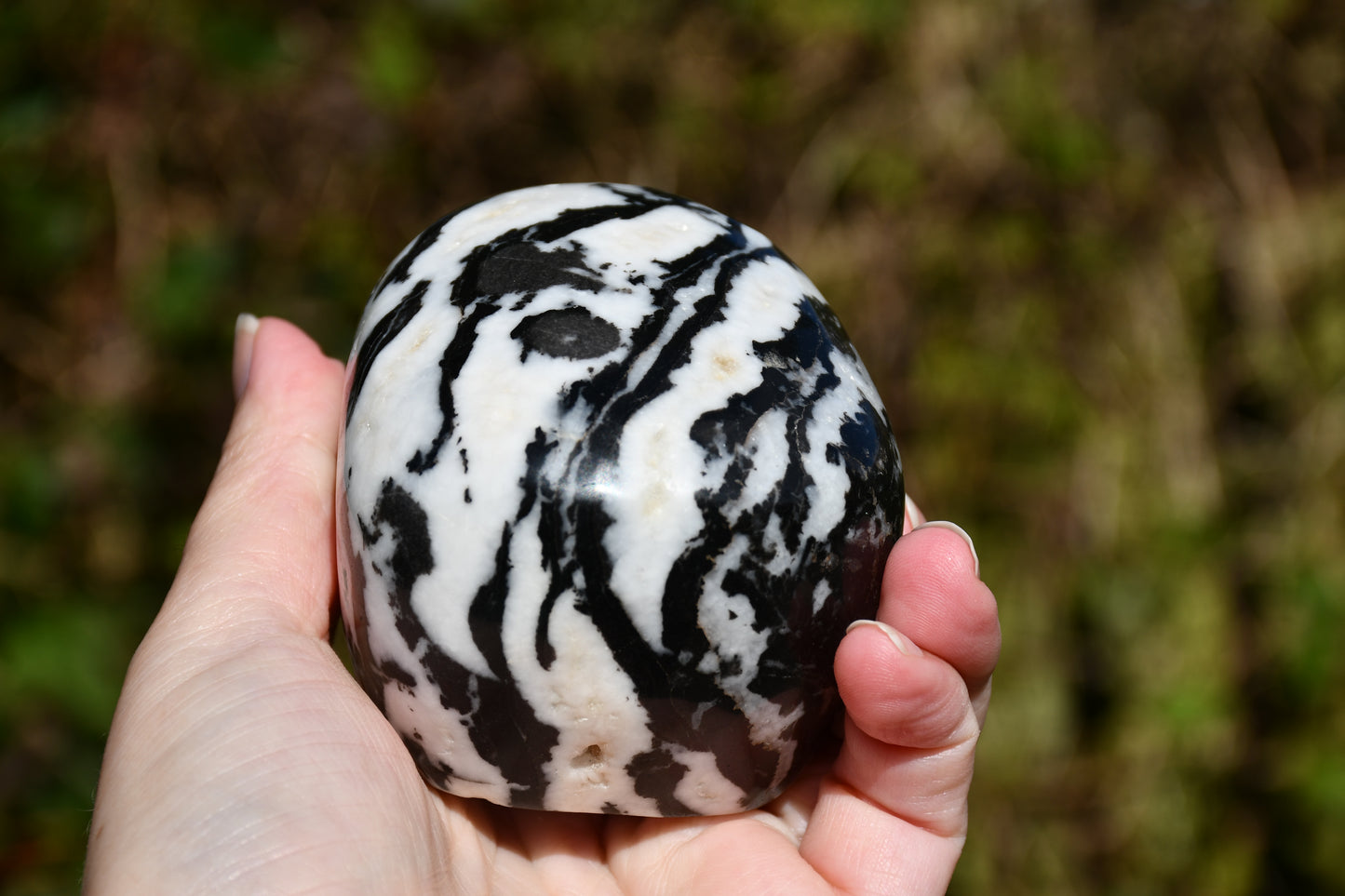 Zebra jasper skull carve