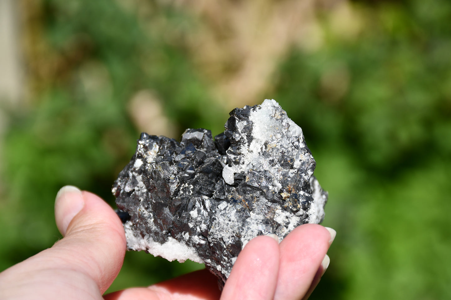 Black tourmaline and quartz cluster