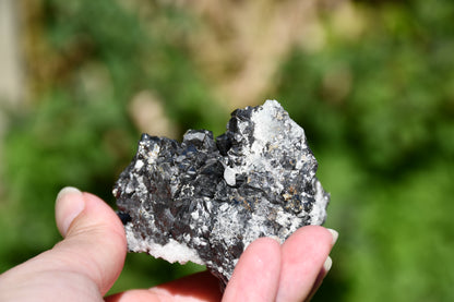 Black tourmaline and quartz cluster