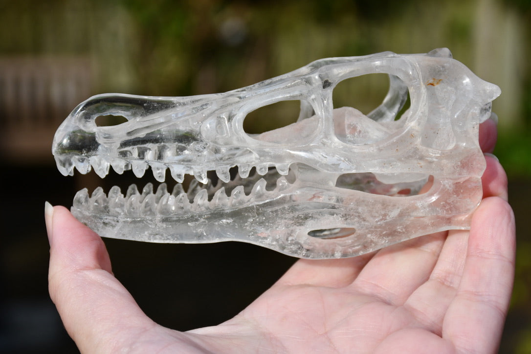 clear quartz Dinosaur skull