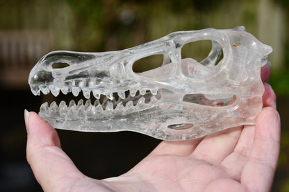 clear quartz Dinosaur skull