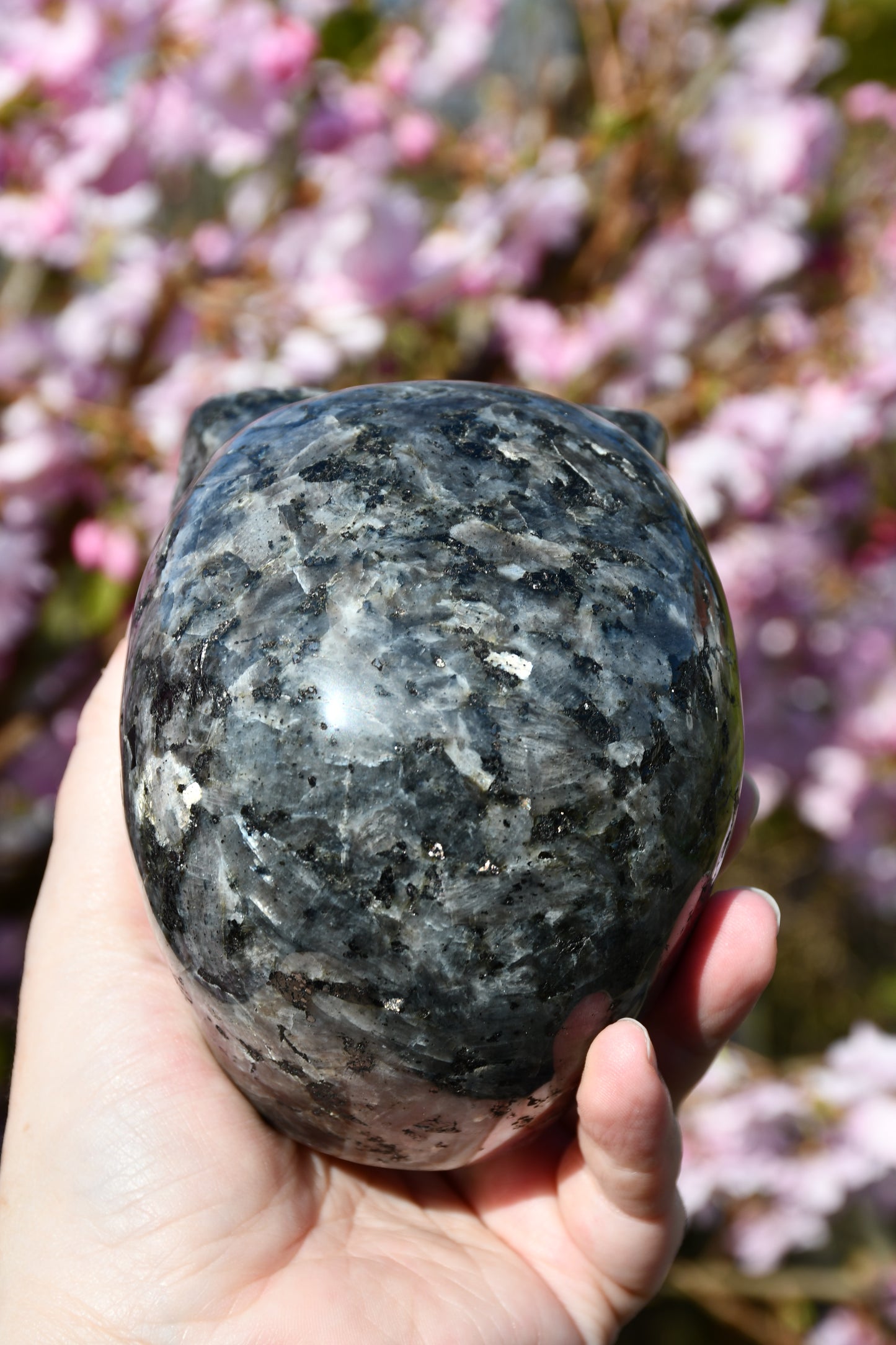 Larvikite star being