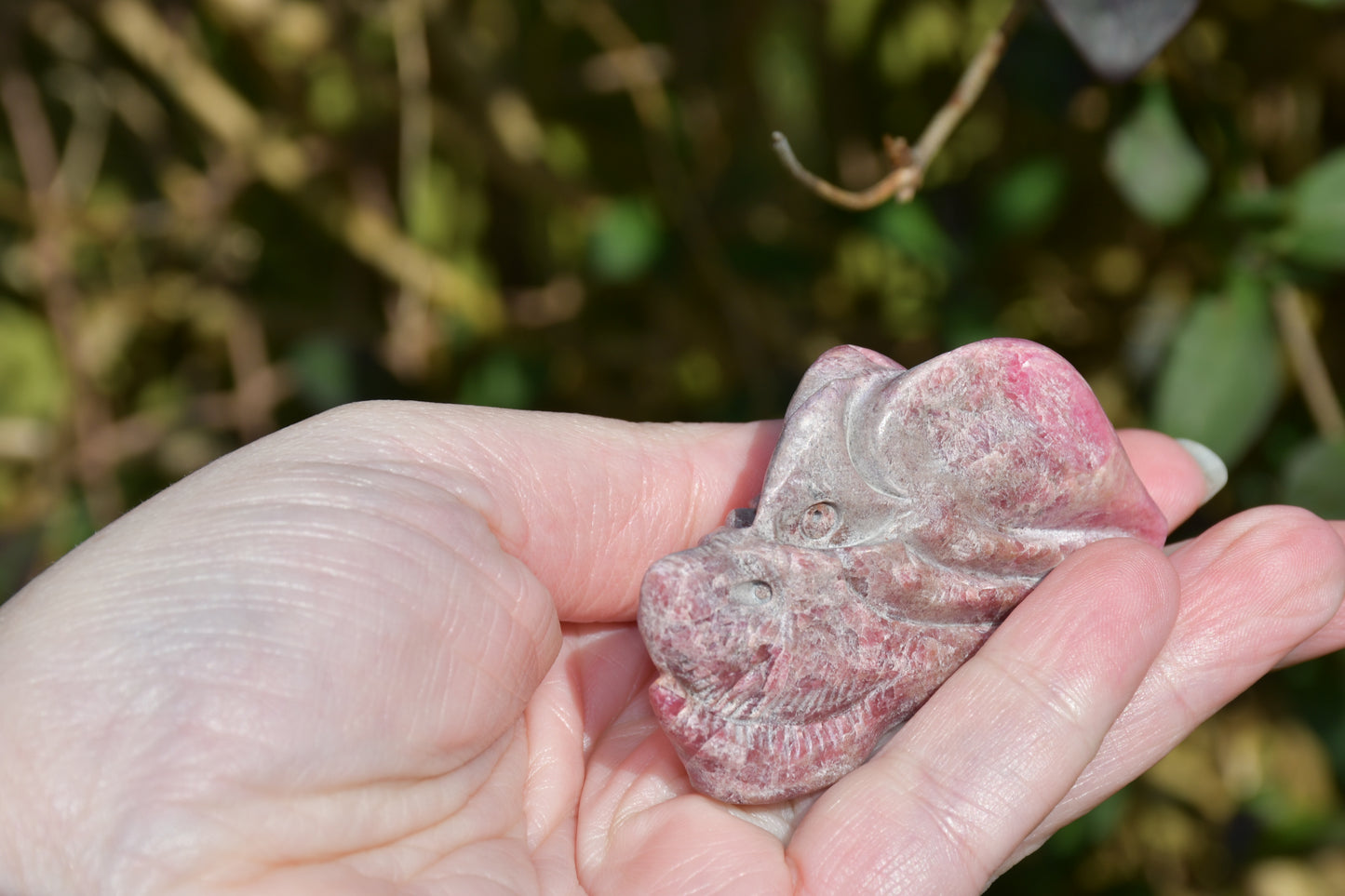 Red garnet or rhodonite dragon - Manus carve