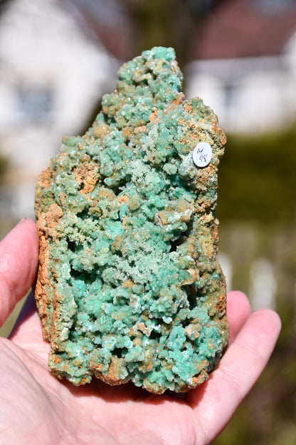 Unknown specimen crystal