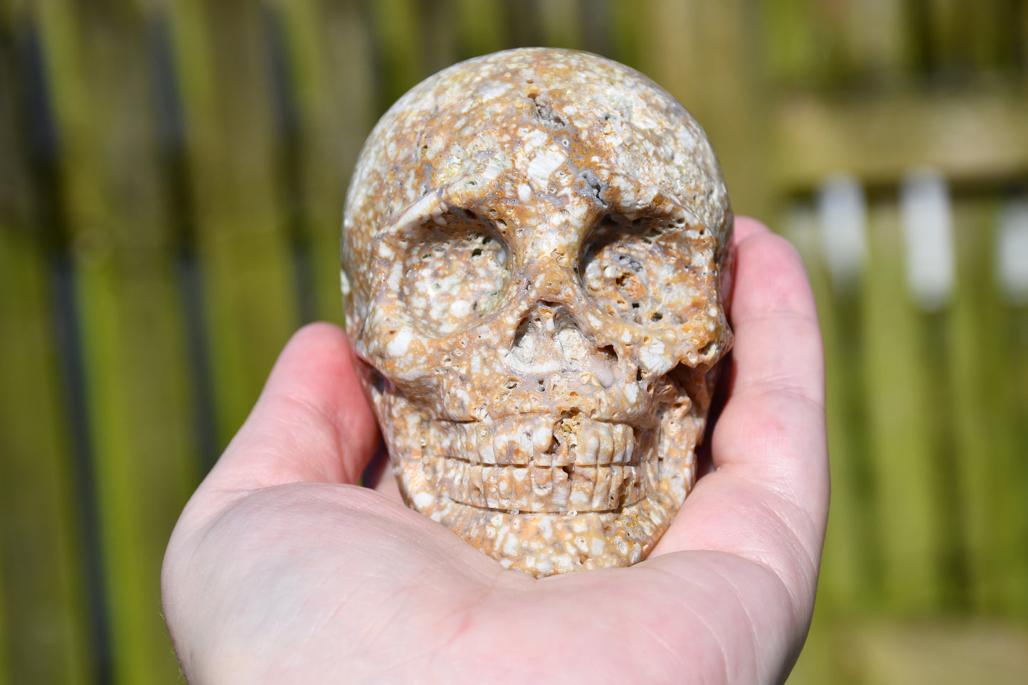 unusual jasper skull