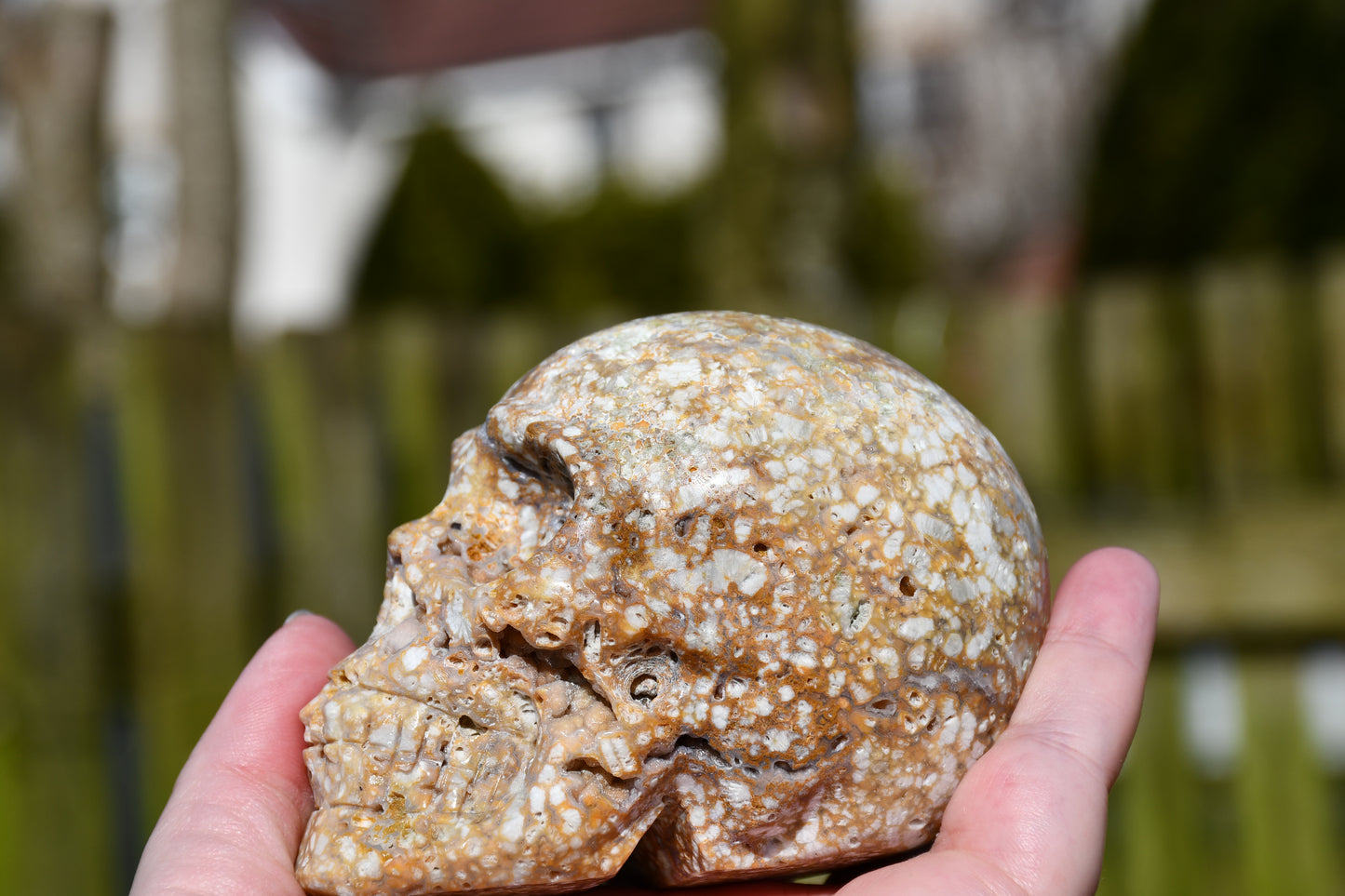 unusual jasper skull