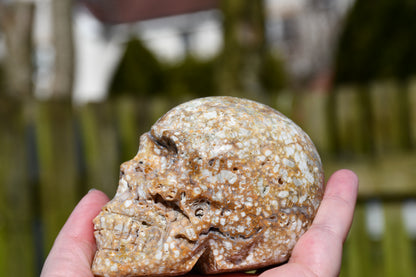 unusual jasper skull