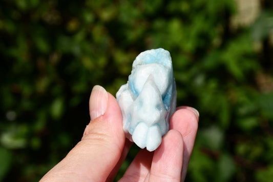 Blue hemomorphite manus dragon