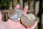 Pair of (flower) agate puffy hearts