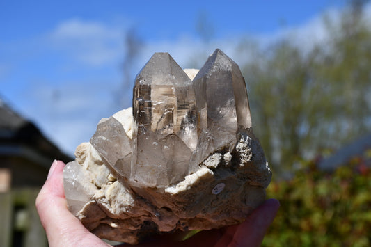 Himalayan smoky quartz and black tourmaline cluster