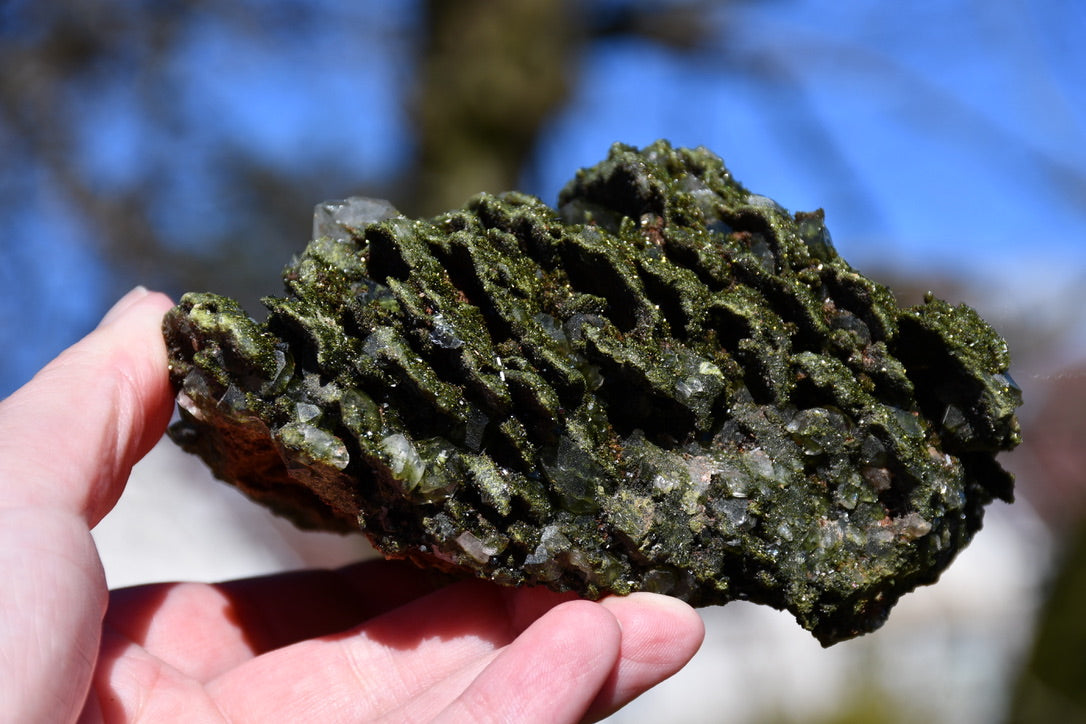 "fairy forest" epidote on quartz cluster