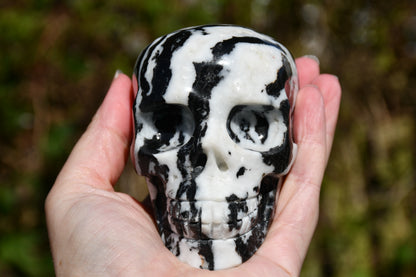Zebra jasper skull carve