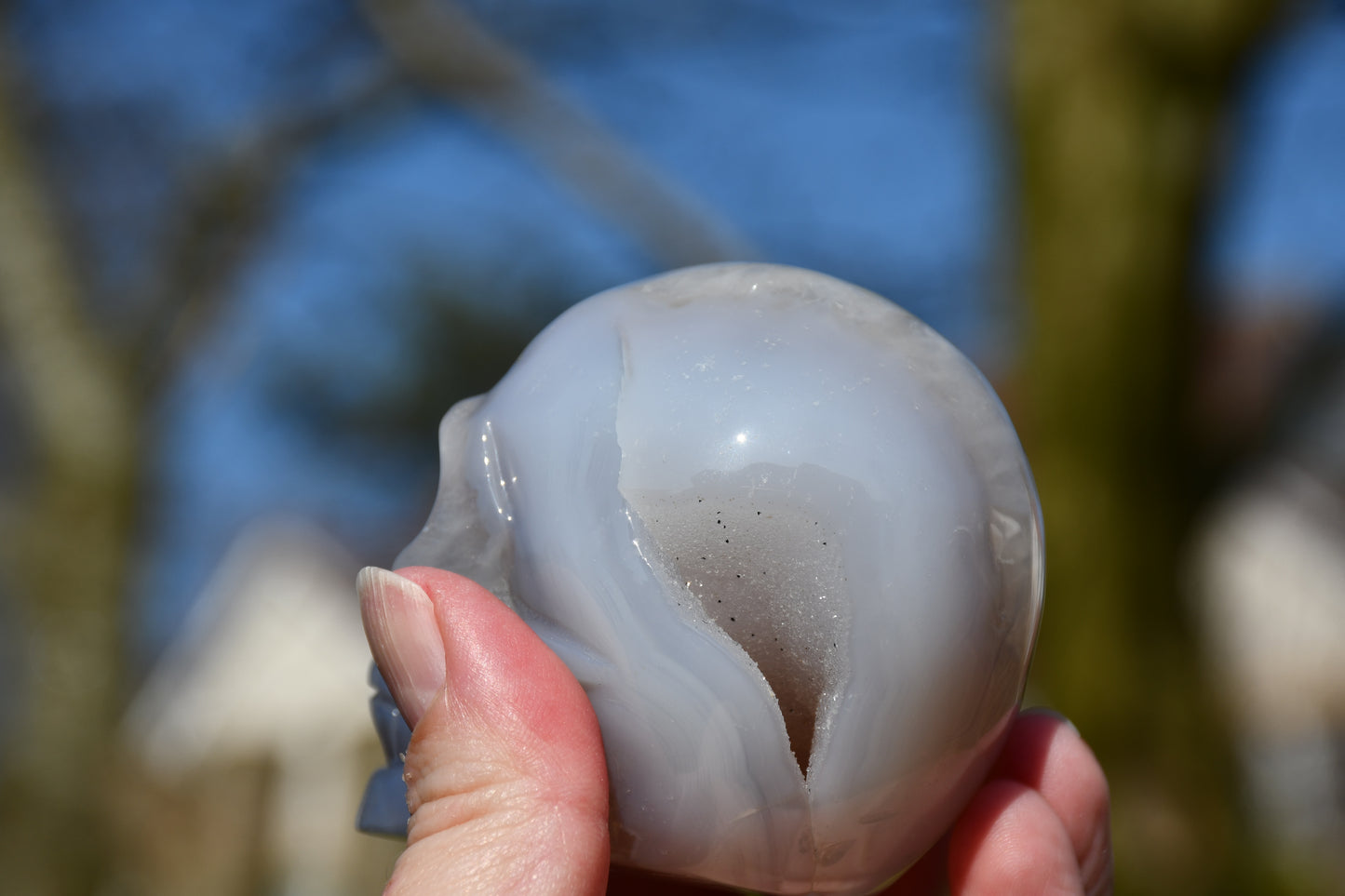 Chalcedony and druzy skull