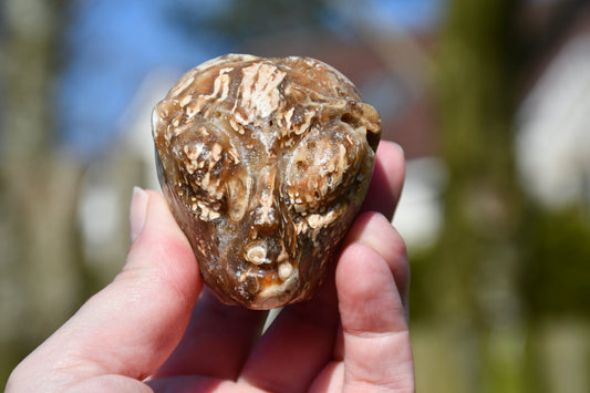 Aragonite with druzy star being