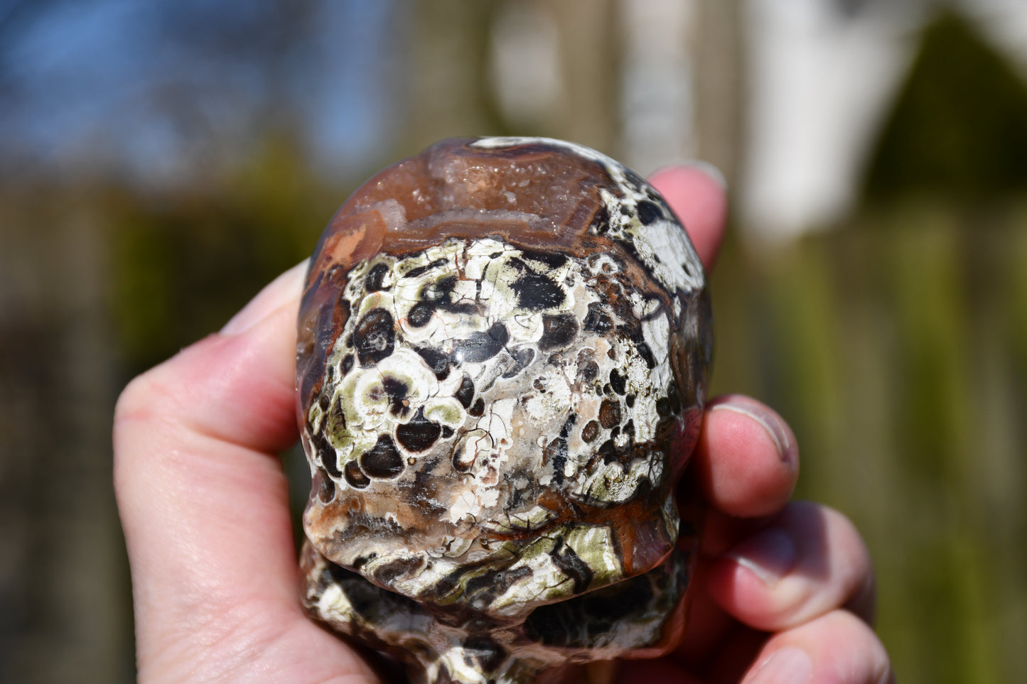 Rhyolite quartz skull