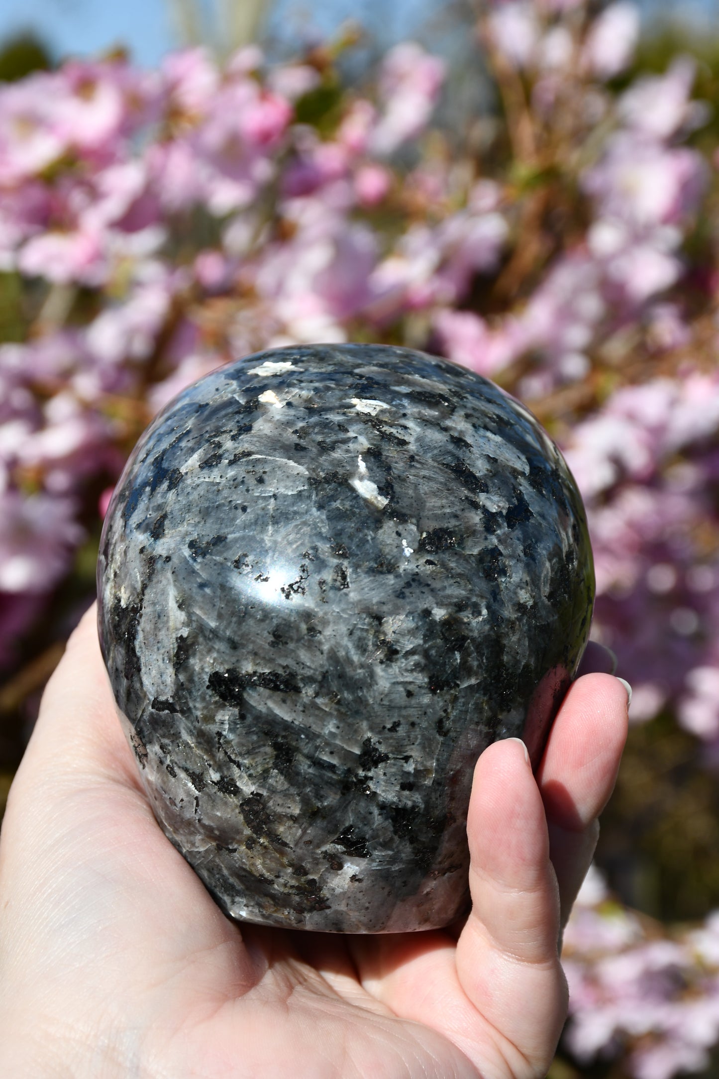 Larvikite star being