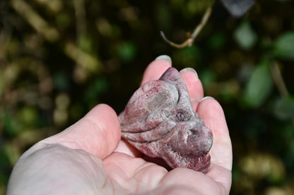 Red garnet or rhodonite dragon - Manus carve