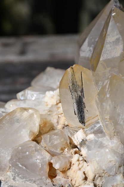Himalayan quartz cluster with black tourmaline and mica