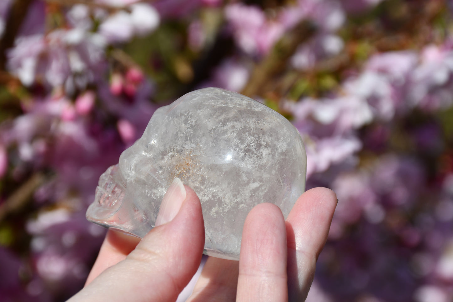 Clear quartz skull