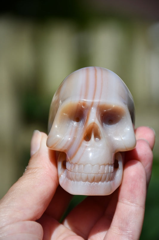 (possible) Raven or Ravenia agate skull carve