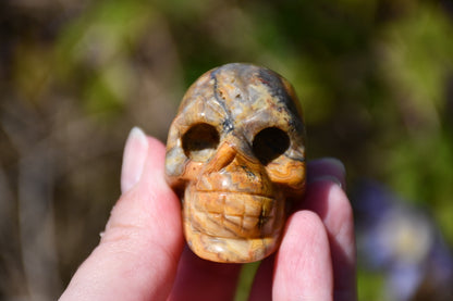 Skull carve mixed crystal bundle 10 pieces (+ 3 added extras)