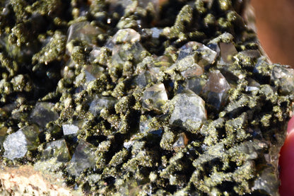 "Fairy forest" diopside and quartz cluster on matrix