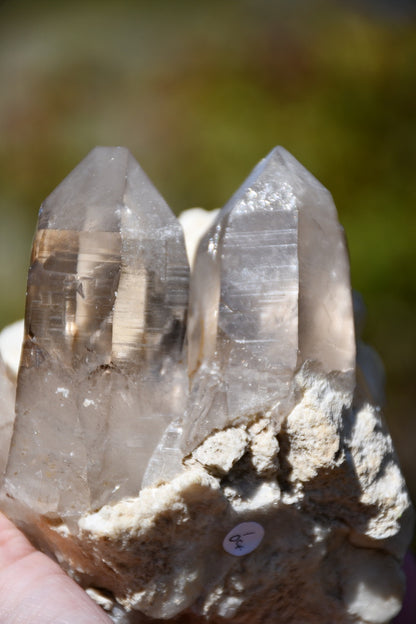 Himalayan smoky quartz and black tourmaline cluster