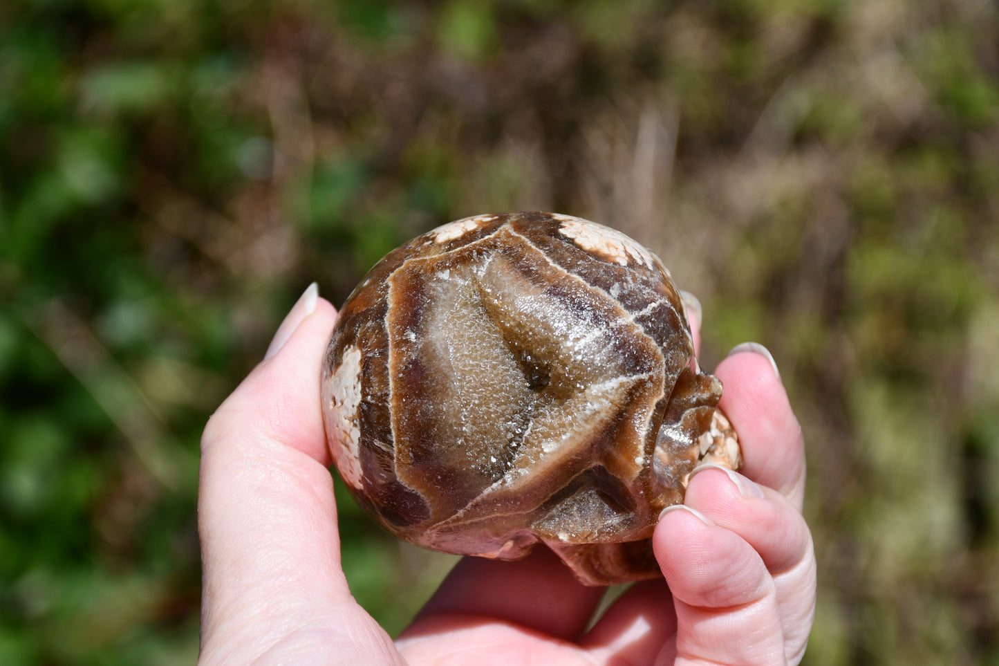 Aragonite carved skull