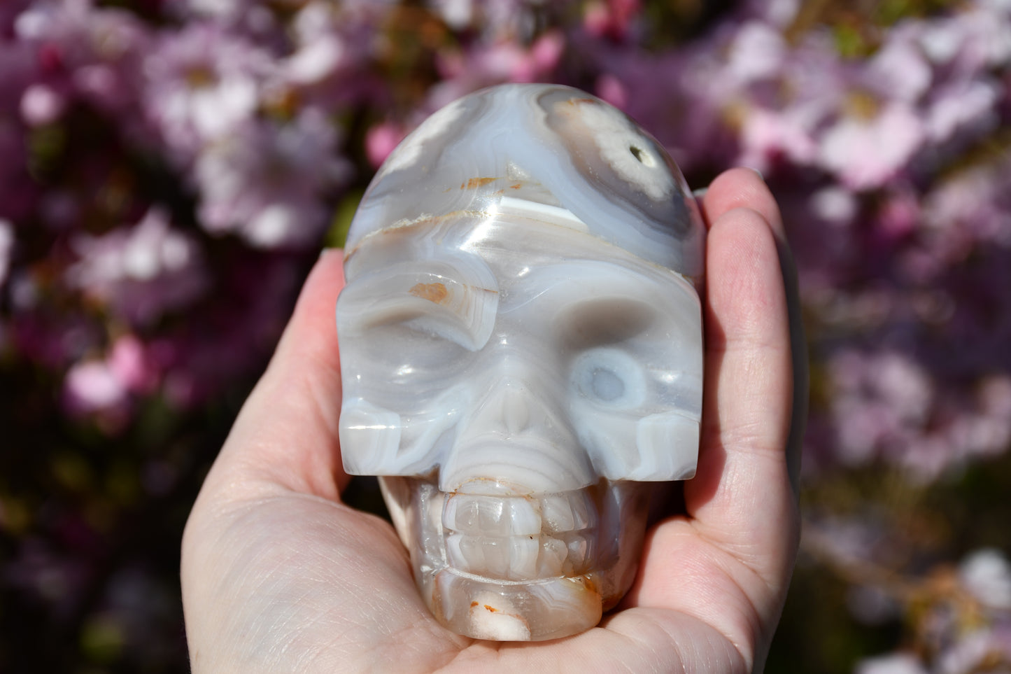 Flower agate skull