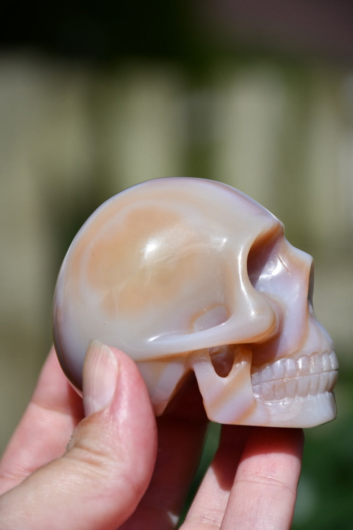 (possible) Raven or Ravenia agate skull carve