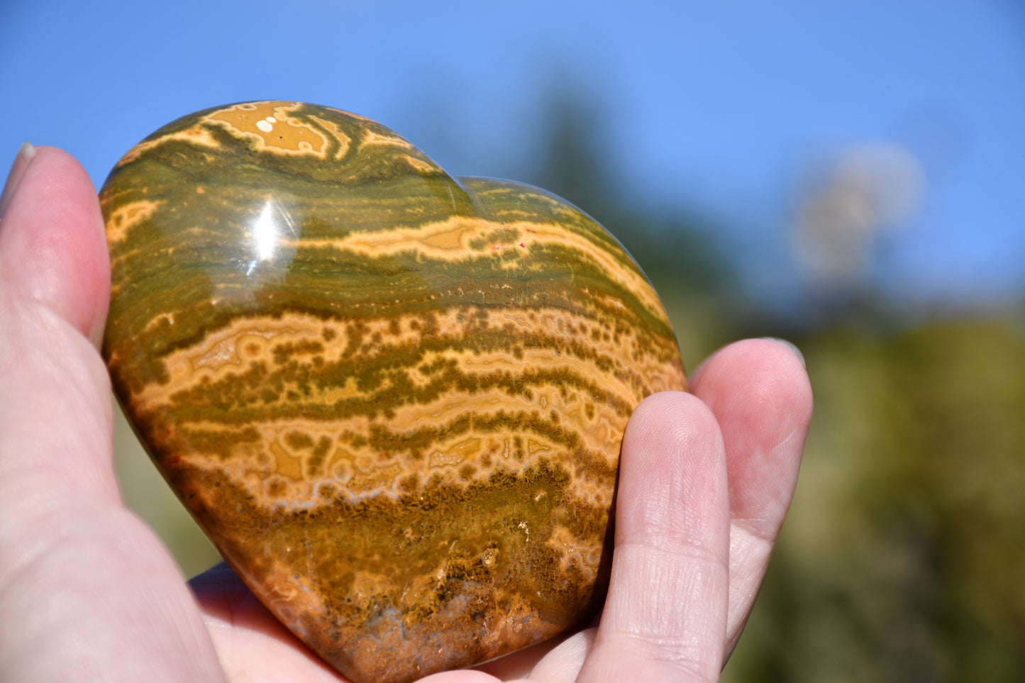 Ocean jasper heart